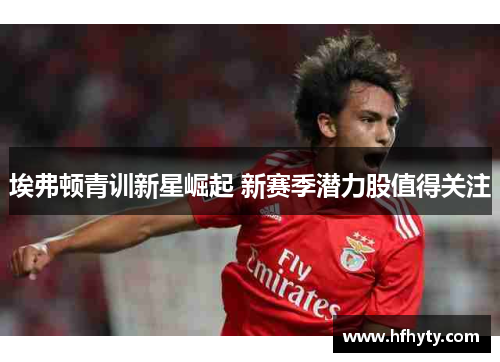 埃弗顿青训新星崛起 新赛季潜力股值得关注