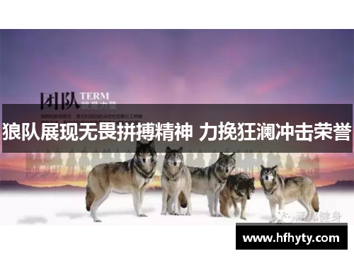 狼队展现无畏拼搏精神 力挽狂澜冲击荣誉