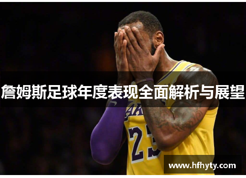詹姆斯足球年度表现全面解析与展望