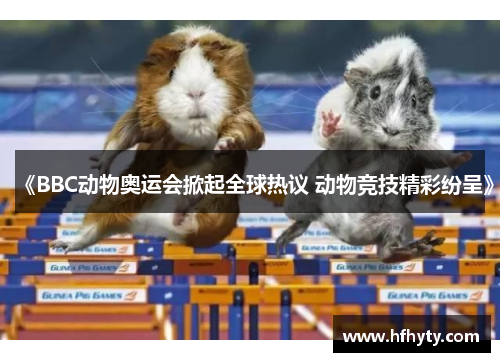 《BBC动物奥运会掀起全球热议 动物竞技精彩纷呈》