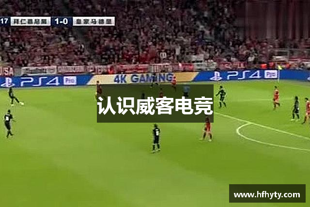 认识威客电竞